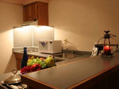 Executive Inn Express Vancouver Airport Richmond Extérieur photo